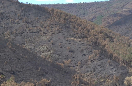 Un mes del incendio de Monfragüe