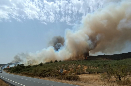 Incendio en Santibáñez el Alto