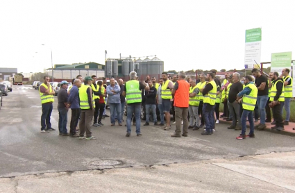 Agricultores durante uno de los paros indefinidos en la recogida de aceituna de mesa. 