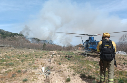 Incendio forestal Navaconcejo