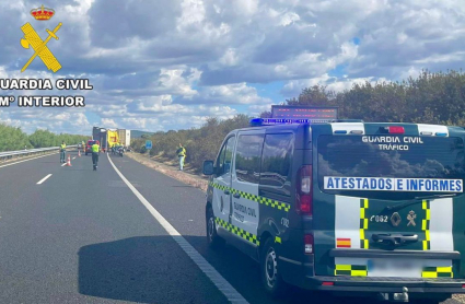 Fallecido en carretera