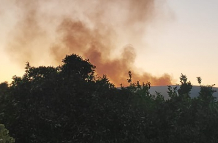 Incendio en Perales del Puerto