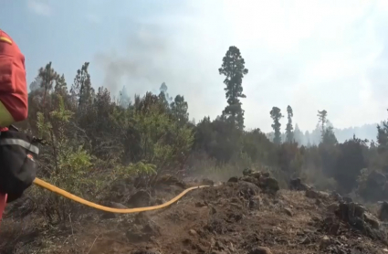 Bomberos de la Brif de Pinofranqueado regresan de Tenerife