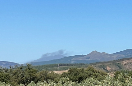 Incendio en Gata