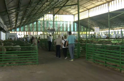 Feria de Zafra