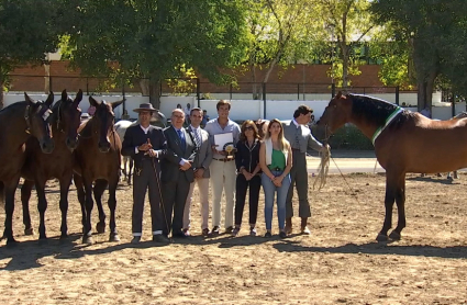 Feria de Zafra