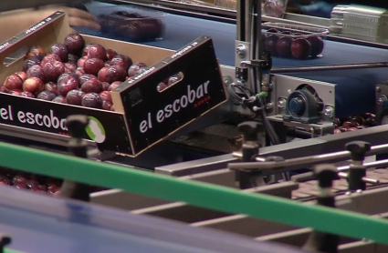 Caja de frutas en la central hortofrutícola