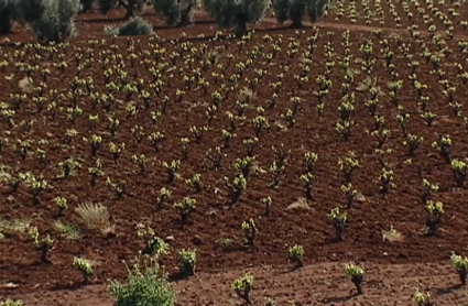 regadio tierra de barros