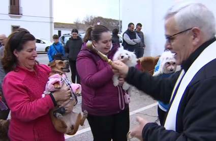 Bendición de los animales