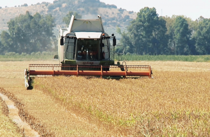 Máquina agrícola realizando labores en el campo