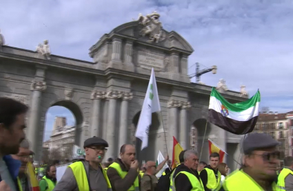 Protesta de agricultores y ganaderos en Madrid