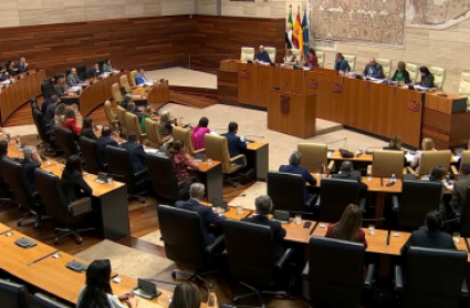 Pleno en la Asamblea