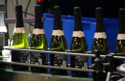 Cataluña compra cava base en Extremadura para la fabricación de sus marcas